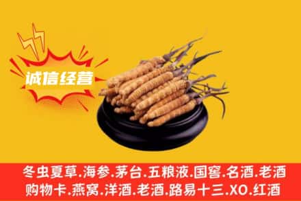阿拉善回收冬虫夏草